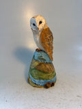 Barn owl on countryside hill