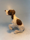 Patient spaniel