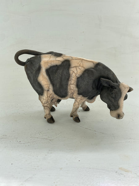 Curious cow