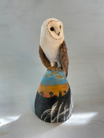 Barn owl on windy hill