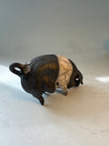 Small saddleback