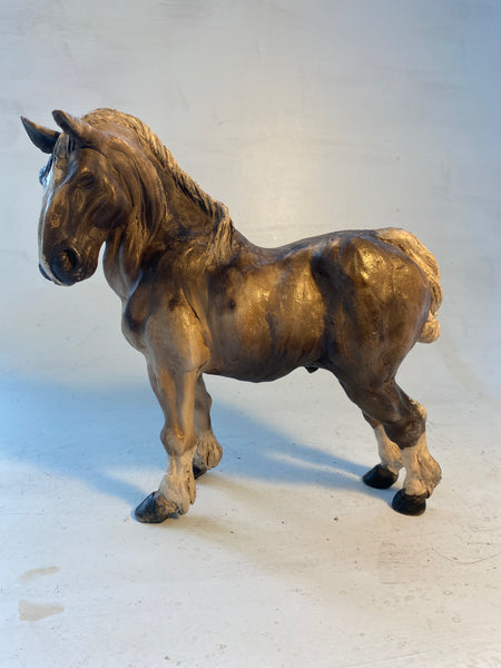 Proud horse