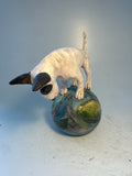 Bullie on coloured ball