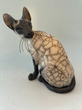 Looking back Siamese
