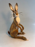 Brown hare