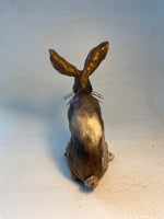 Pensive hare