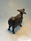 Black sheep