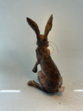Alert hare