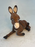 Little donkey