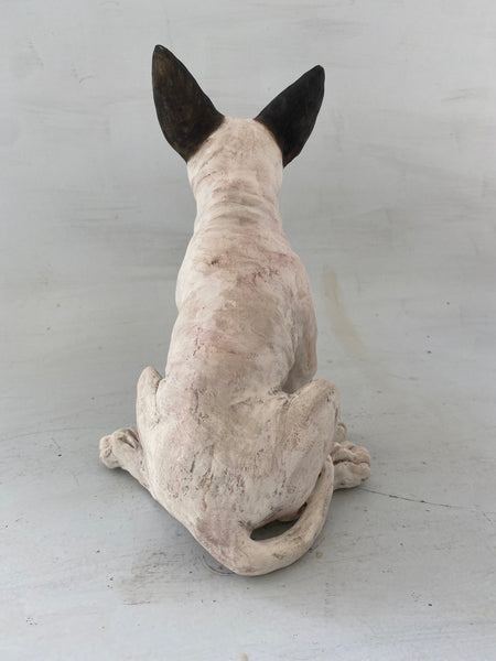 Sitting bullie(second)