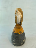 Sunset barn owl