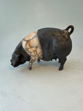 Snuffling saddleback