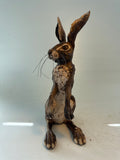 Alert hare
