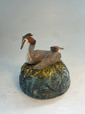 Nesting grebes