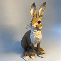 Wary hare (second)