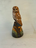 Tawny owl