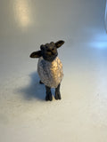 Bargain small sheep