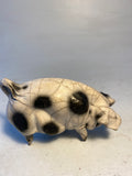 Gloucester old spot sow
