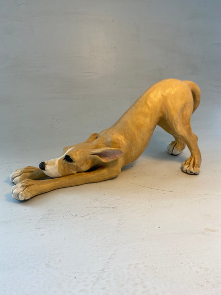 Stretching hound