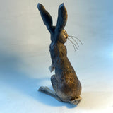 Alert Hare