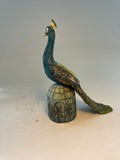 Proud peacock