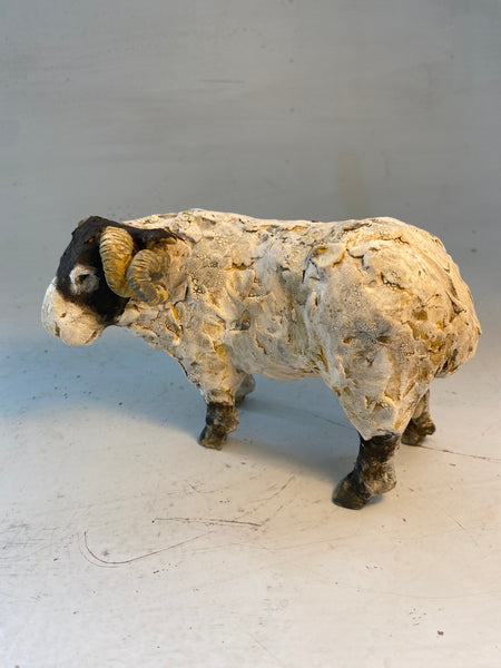 Horned ram