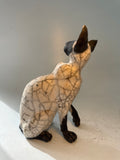 Sitting Siamese