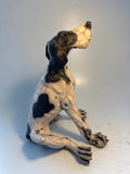 Large sitting hound