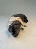 Snoozing sow