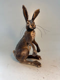 Alert hare