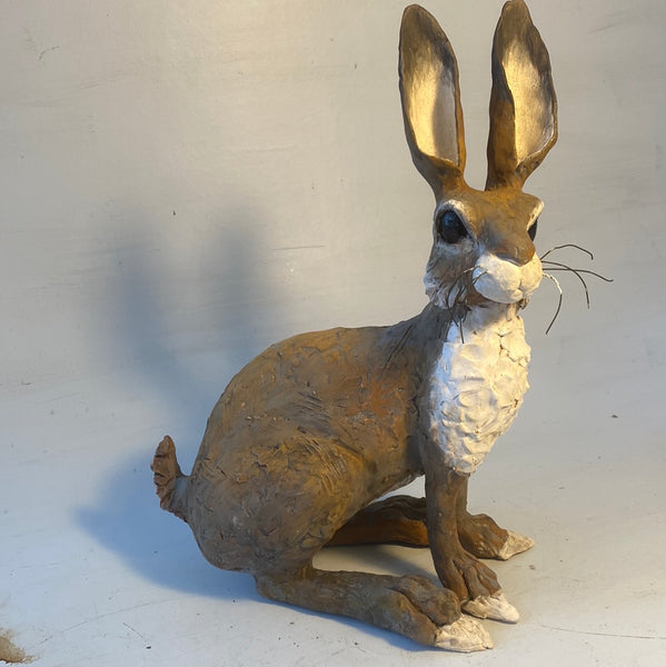 Sitting hare (second )