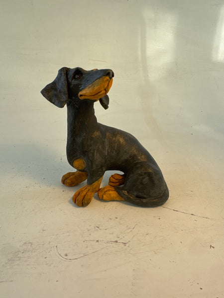 Patient dachshund