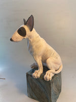 Bullie on a box