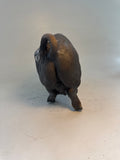 Rooting saddleback