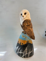Barn owl on windy hill