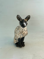 Sitting siamese