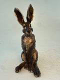 Spring hare