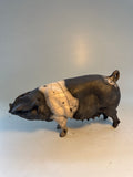 Saddleback sow