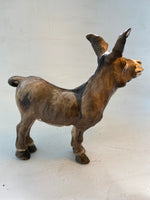 Laughing donkey