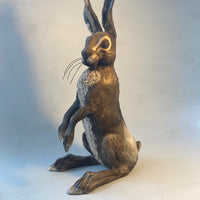 Large listening hare
