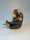 Sitting chimp
