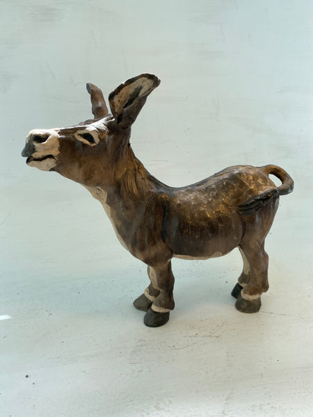 Laughing donkey