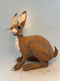Startled hare