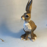 Sitting hare (second )