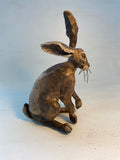Happy hare