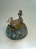 Nesting grebes