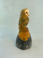 Sunset barn owl