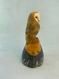 Sunset barn owl