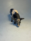 Fresian cow