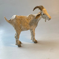 Pale goat